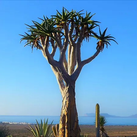 El Refugio Daire Famara