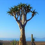 El Refugio Apartamento Famara